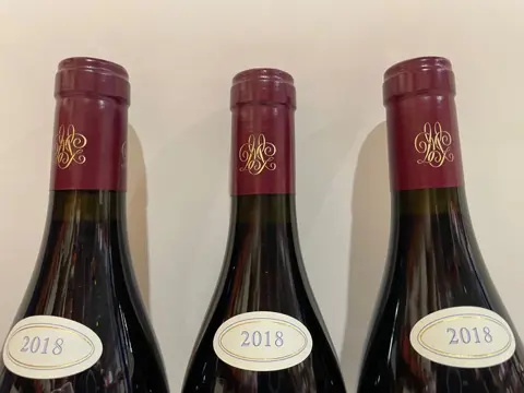 2018 Domaine Georges Mugneret-Gibourg Les Vignes Rondes - Bourgondië 1er Cru - 3 Flessen (0.75 liter)