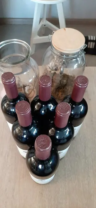 1995 J.Hofstatter, Yngram - Trentino Alto Adige - 6 Flessen (0.75 liter)