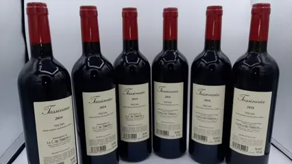 2014 x3 & 2016 x3 Castello del Terriccio, Tassinaia - Toscana IGT - 6 Flessen (0.75 liter)