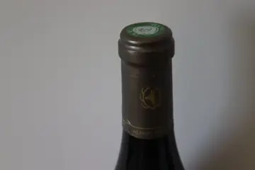 2015 Chambertin Grand Cru - Domaine du Clos Frantin - Maison Albert Bichot - Bourgondië - 1 Fles (0,75 liter)