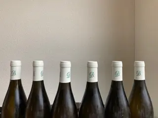 2021 Pernand-Vergelesses "Les Pins". Domaine Francoise André - Bourgondië - 6 Flessen (0.75 liter)