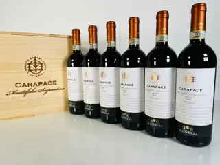 2017 Tenute Lunelli - Carapace - Sagrantino di Montefalco - Umbrië - 6 Flessen (0.75 liter)