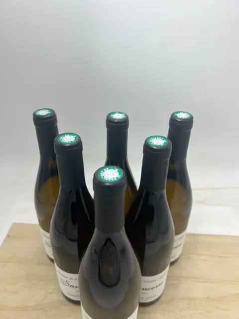 2021 Vincent Gaudry - Sancerre "Melodie de Vieilles Vignes" - Loire - 6 Flessen (0.75 liter)