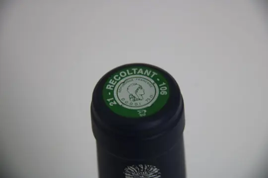 2005 Domaine Anne Gros - Richebourg Grand Cru - 1 Fles (0,75 liter)