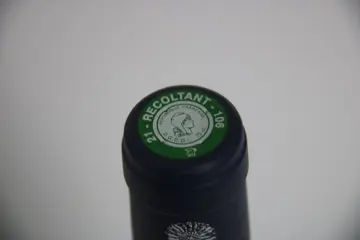 2005 Domaine Anne Gros - Richebourg Grand Cru - 1 Fles (0,75 liter)