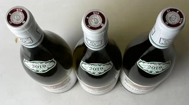 2019 Meursault - Charles Noellat - Bourgondië - 3 Fles (0,75 liter)