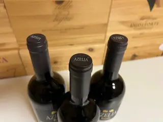 2018 Azelia "San Rocco" - Barolo - 3 Flessen (0.75 liter)