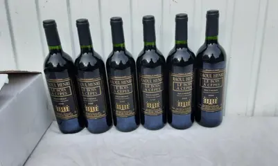 2000 Raoul Henri Le Bois a Cèpes - Haut-Médoc - 6 Flessen (0.75 liter)