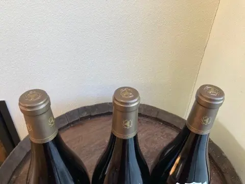 2017 Domaine Albert Bichot. Hautes Côtes de Nuits "Les Dames Huguettes" - Bourgondië - 3 Magnums (1.5L)