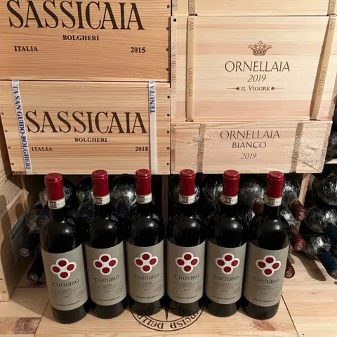 2019 Umani Ronchi, Cumaro Rosso Conero Riserva DOCG - Marche - 6 Flessen (0.75 liter)