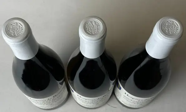 2009 Meursault 1° Cru Charmes "Cuvée Louis de Bahèzre de Lanlay" - Hospice De Beaune - Armand Vincenot - Bourgondië - 3 Fles (0,75 liter)