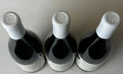 2009 Meursault 1° Cru Charmes "Cuvée Louis de Bahèzre de Lanlay" - Hospice De Beaune - Armand Vincenot - Bourgondië - 3 Fles (0,75 liter)