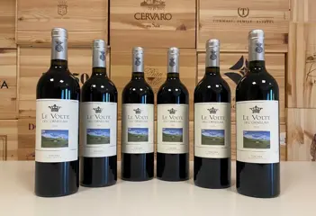 2020 Tenuta dell'Ornellaia "Le Volte" - Toscana IGT - 6 Flessen (0.75 liter)