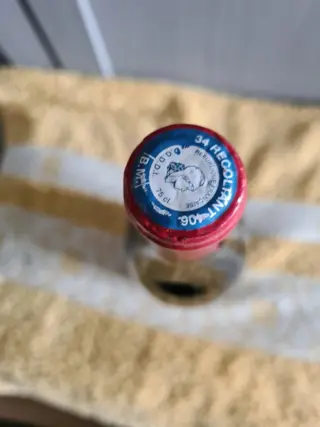 2007 Domaine de la Grange des Pères - Languedoc - 1 Fles (0,75 liter)