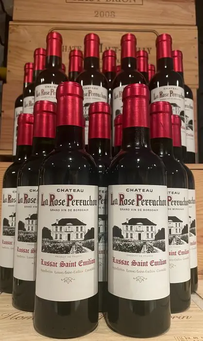 2010 Château La Rose Perruchon du Château Lyonnat - Lussac Saint Emilion - Bordeaux - 24 Halve flessen (0.375L)