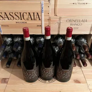 2020 Braida di Giacomo Bologna, Barbera d’Asti Montebruna - Piëmont DOCG - 3 Magnums (1.5L)