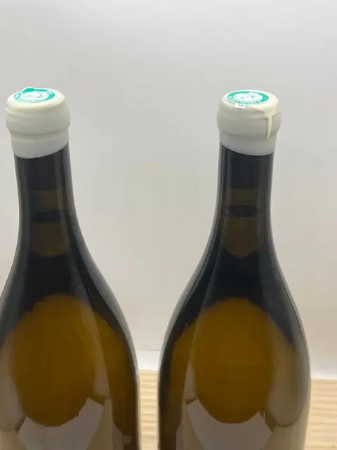 2021 Sancerre - Vincent Gaudry Constellation du Scoprion - Sancerre - 2 Magnums (1.5L)