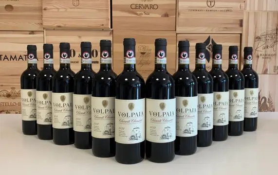 2020 Castello di Volpaia - Chianti Classico - 12 Flessen (0.75 liter)