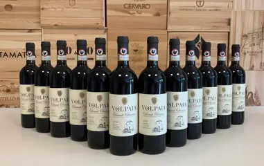 2020 Castello di Volpaia - Chianti Classico - 12 Flessen (0.75 liter)