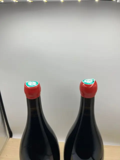 2020 Rully 1° Cru "Clos du Chapitre" - Domaine Jaeger Defaix - Rully - 2 Magnum (1,5 L)