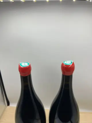 2020 Rully 1° Cru "Clos du Chapitre" - Domaine Jaeger Defaix - Rully - 2 Magnum (1,5 L)