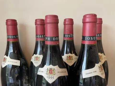 1995 Beaune 1° Cru "Clos des Mouches" - Joseph Drouhin - 6 Flessen (0.75 liter)