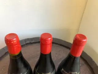 2017 Latricières Chambertin Grand Cru - Domaine Camus - Bourgondië - 3 Flessen (0.75 liter)