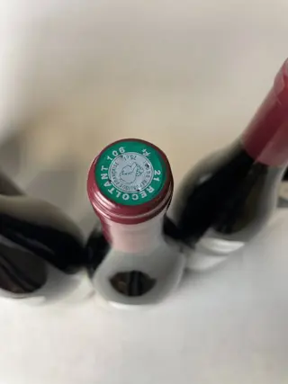 2004 Savigny-Lès-Beaune "Dessus Les Golardes" Domaine Capron-Charcousset - Bourgondië - 6 Fles (0,75 liter)