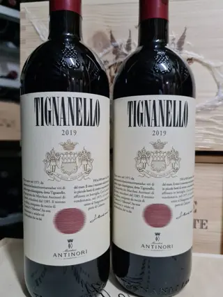 2019 Marchesi Antinori, Tignanello - Toscana IGT - 2 Flessen (0.75 liter)