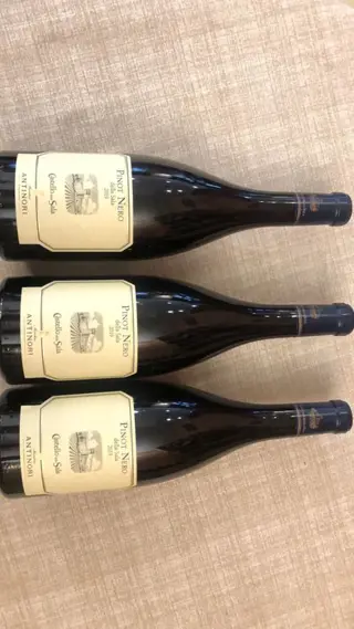 2019 Marchesi Antinori Castello della Sala Pinot Nero - Umbrië - 3 Flessen (0.75 liter)