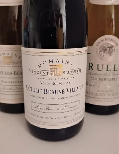 2008 x 2 Savigny Les Beaune, 2009 x 2 Côte de Beaune Village & 2008 x 2 Rully blanc - Bourgondië - 6 Flessen (0.75 liter)