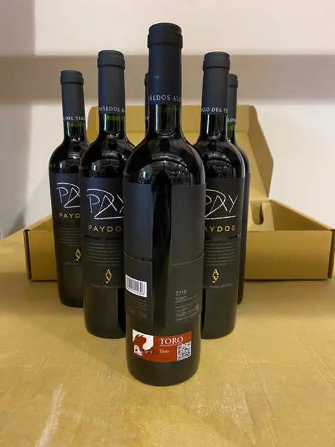 2015 Viñedos Alonso del Yerro, Paydos - Toro - 6 Flessen (0.75 liter)