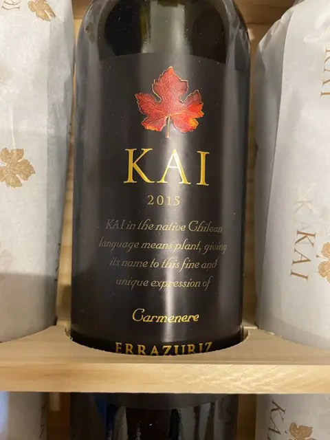 2015 Errazuriz 'Kai' Carmenere - Aconcagua Vallei - 6 Flessen (0.75 liter)