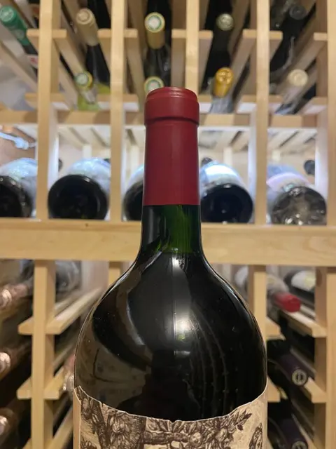 2020 Bodega Catena Zapata Argentino - Mendoza - 1 Magnum (1,5 L)