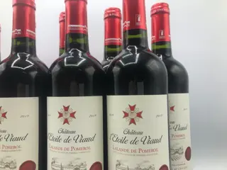 2019 Château l’Etoile de Viaud - Lalande-de-Pomerol - 9 Flessen (0.75 liter)