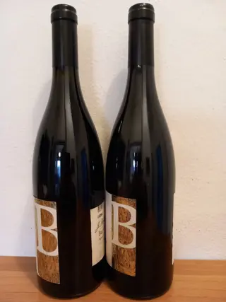 2002 & 2008 Hofstatter, Barthenau "Vigna Sant’Urbano" - Alto Adige DOC - 2 Flessen (0.75 liter)