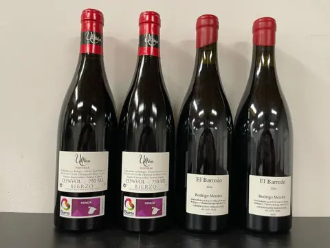 2016 Bodegas Rodrigo Méndez, 'El Barredo' x2 & 2019 Raúl Pérez, Ultreia de Valtuille x2 - Galicia, Bierzo - 4 Flessen (0.75 liter)