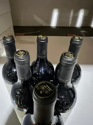 2008 Pago de los Capellanes - Ribera del Duero Reserva - 6 Flessen (0.75 liter)