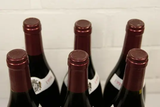 1998 Savigny-les-Beaune, Domaine Dubois Bernard et Fils - Bourgogne - 6 Flessen (0.75 liter)