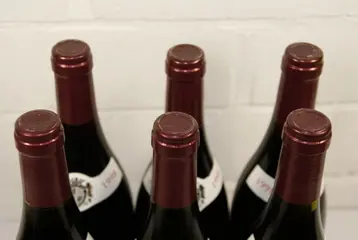 1998 Savigny-les-Beaune, Domaine Dubois Bernard et Fils - Bourgogne - 6 Flessen (0.75 liter)