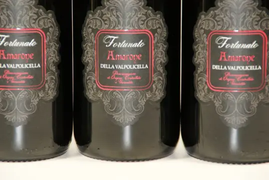 2017 Fortunato - Amarone della Valpolicella DOCG - 6 Flessen (0.75 liter)