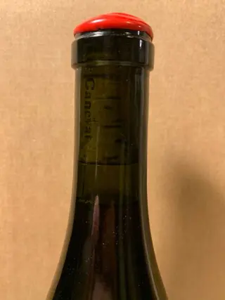 2020 Domaine Jean Francois Ganevat, Plein Sud, Trousseau - Jura - 1 Fles (0,75 liter)