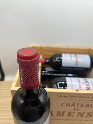 2019 Chateau de Camensac - Haut-Médoc Grand Cru Classé - 6 Flessen (0.75 liter)