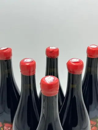 2019 Domaine de l'Ecu "Mephisto" Cabernet Franc - Loire - 6 Flessen (0.75 liter)