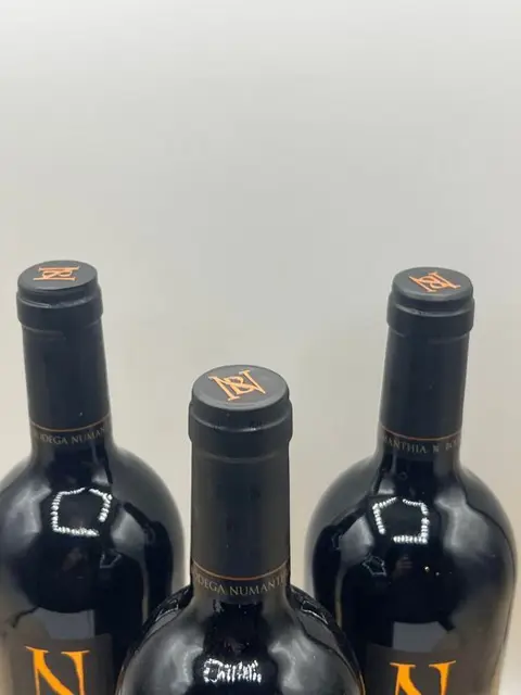 2017 Bodega Numanthia - Toro - 3 Flessen (0.75 liter)