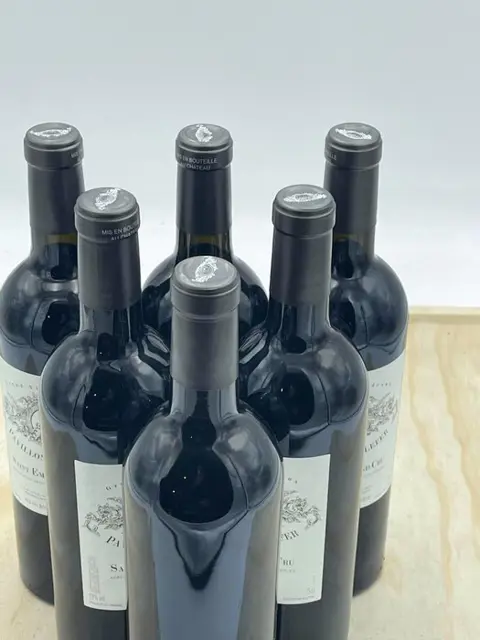 2013 Pavillon de Taillefer - Saint-Emilion - Saint-Emilion Grand Cru - 6 Flessen (0.75 liter)