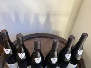 2019 Moulin à Vent "Coeur de Terroirs" - Domaine Labruyére - Beaujolais - 6 Flessen (0.75 liter)