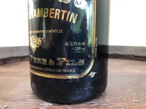 2017 Domaine Camus - Gevrey Chambertin - 3 Magnums (1.5L)