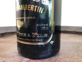 2017 Domaine Camus - Gevrey Chambertin - 3 Magnums (1.5L)