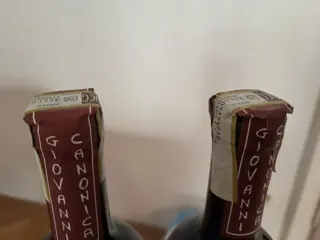 Giovanni Canonica: 2018 Paiagallo & 2018 Grinzane Cavour - Barolo - 2 Flessen (0.75 liter)